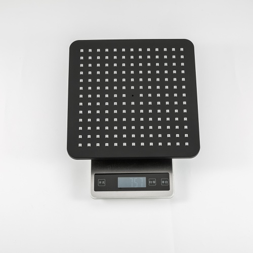 G2491-6_8
