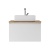 DS4301T_2 DS4301T_2